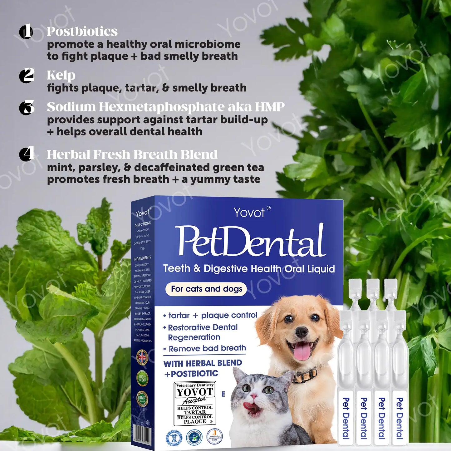 [Official Store]🇬🇧 Yovot® Pet Dental & Digestive Health Oral Liquid – Freshen Breath, Remove Tartar & Promote gum regeneration, stabilize teeth (for Cats & Dogs)  – Save 70% Today!