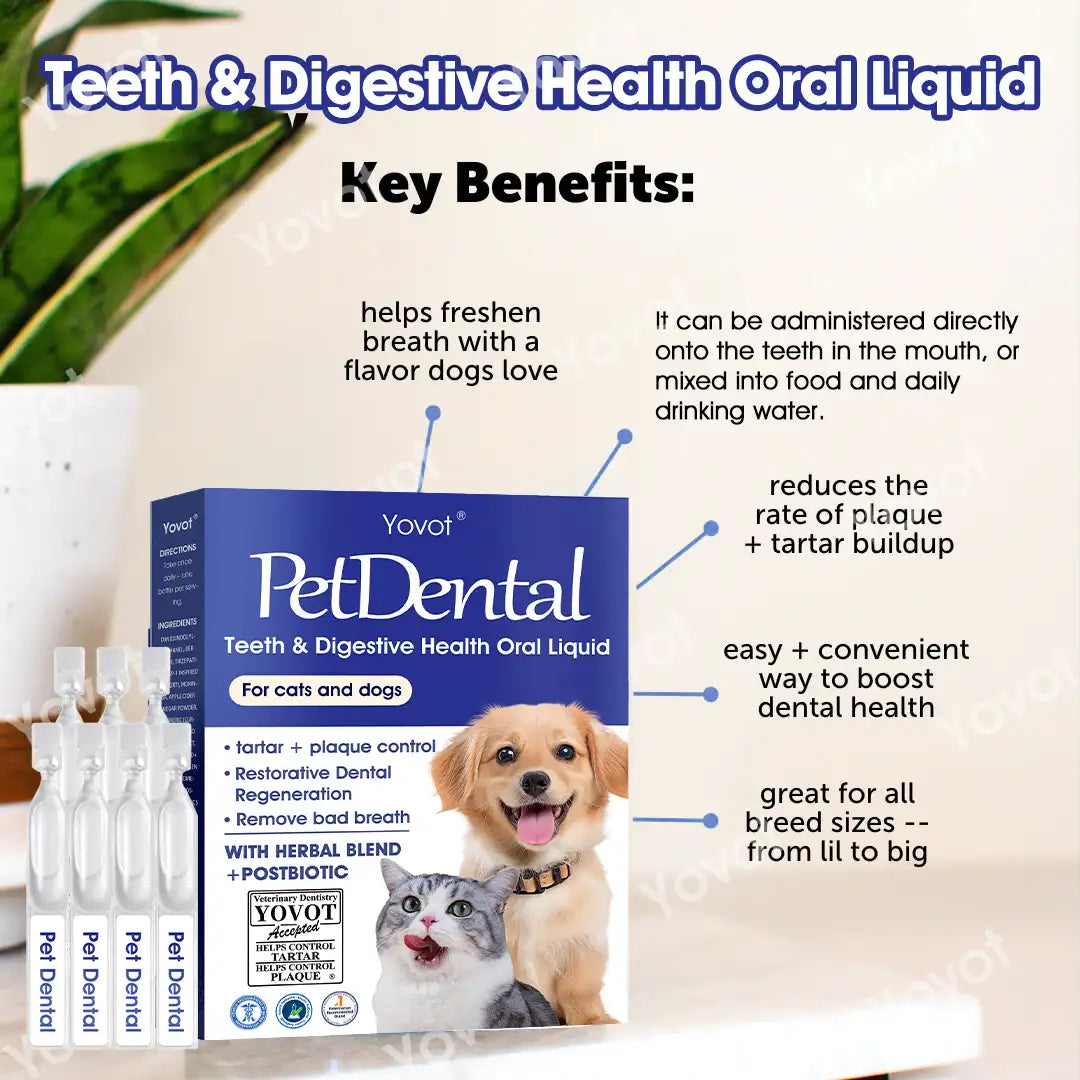 [Official Store]🇬🇧 Yovot® Pet Dental & Digestive Health Oral Liquid – Freshen Breath, Remove Tartar & Promote gum regeneration, stabilize teeth (for Cats & Dogs)  – Save 70% Today!
