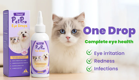🛡️Yovot® PetPro Eye Drops-😾Daily L-Lysine Drops for Feline Herpes & Eye Care🐾